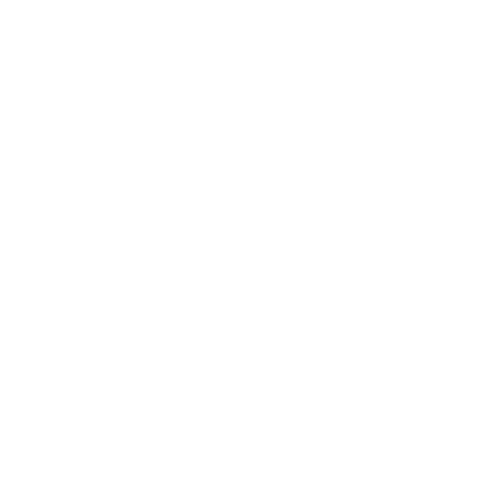 Appalachian Emerging Investors Fund